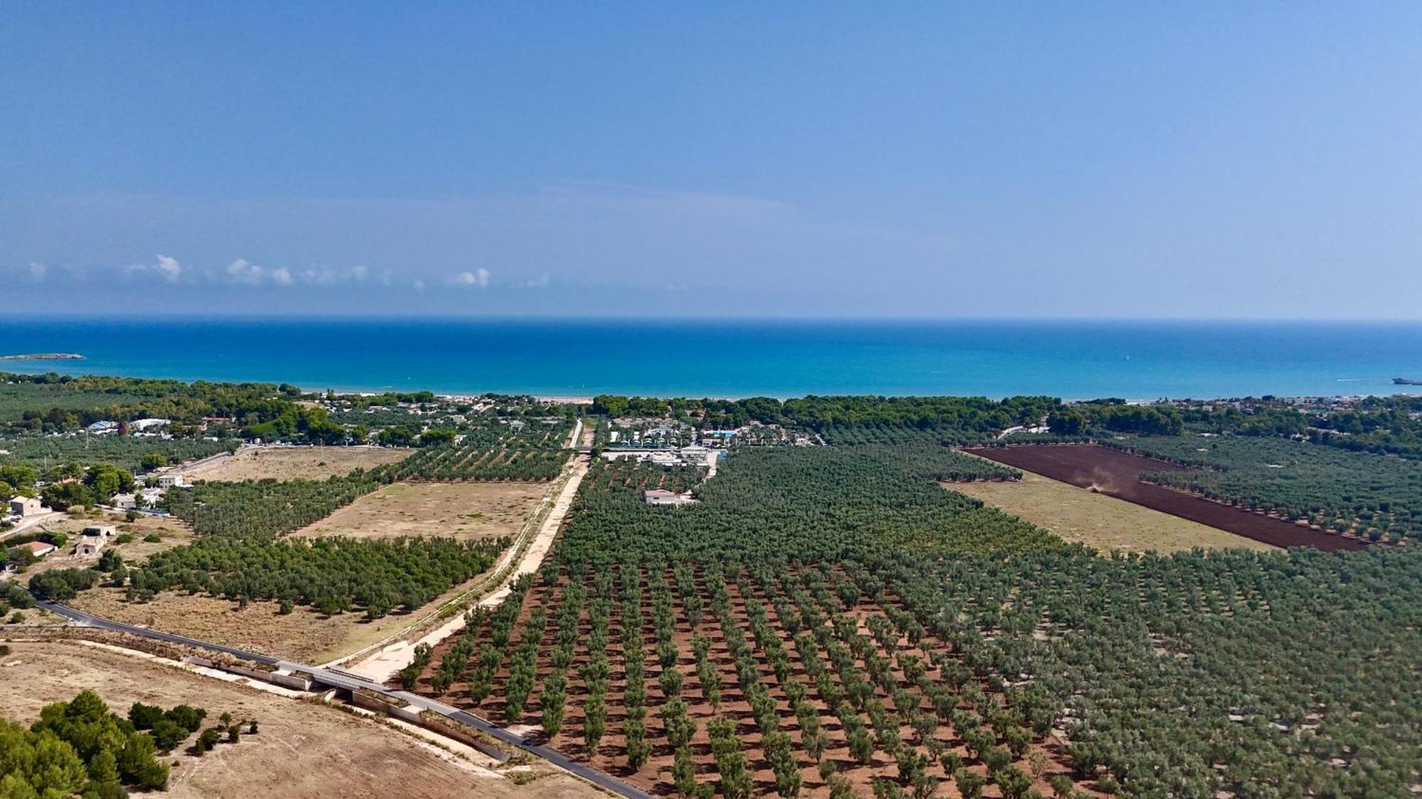 Villa Amica Vieste Exterior photo